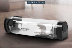 Mouse Trap #1 – DGV